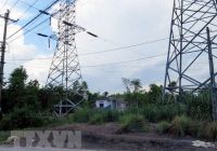 Đầu tư 175 tỷ đồng nâng cấp các công trình điện lưới quốc gia ở Tây Ninh năm 2018